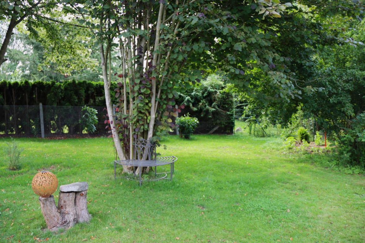 Ferienhaus An Der Wiese Luhmannsdorf Exterior photo